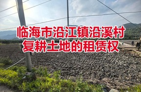 临海市沿江镇沿溪村复耕土地的租赁权